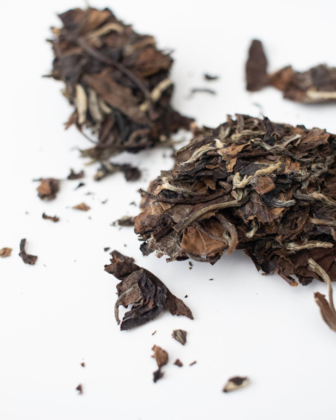 老欉貢眉 (Laocong Gongmei White Tea)